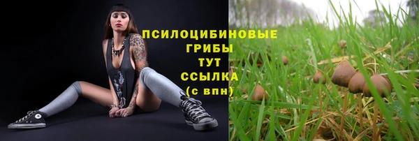 тгк Беломорск